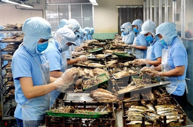 附圖：2018年前兩月越南水產(chǎn)品出口額同比增長近30%。（圖片來源：越通社）